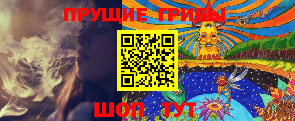 Каменка  Псилоцибиновые грибы Cubensis  цена наркотик  Вход с VPN 
